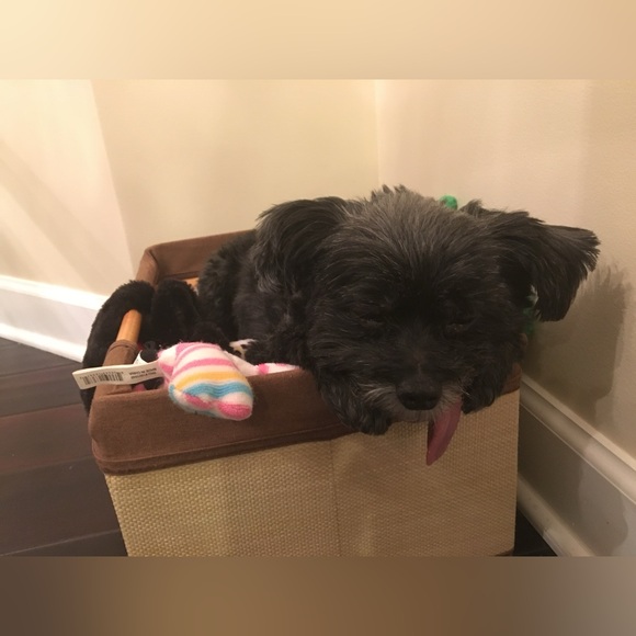 โฅ๏ธ๐๐ป๐ถMeet your Posher, Kim๐๐๏ธ๐๐  - Picture 12 of 12